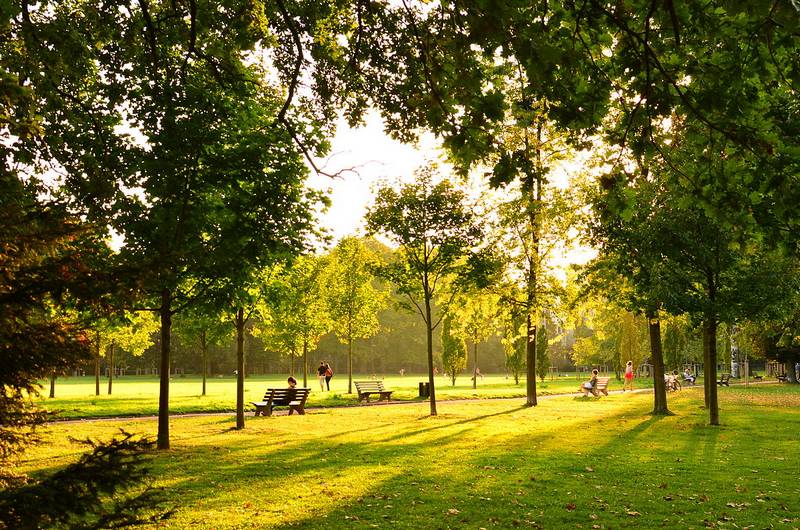 Sessions au Parc de la Tête d'Or — Bellecour Training Studio Lyon